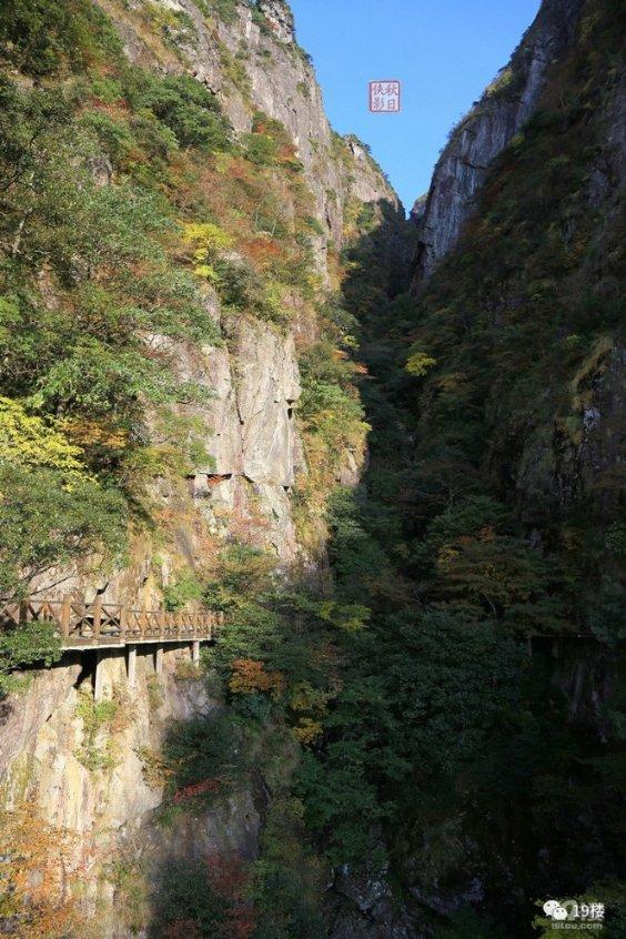 临洮公安救助一只国家二级保护动物丘鹬