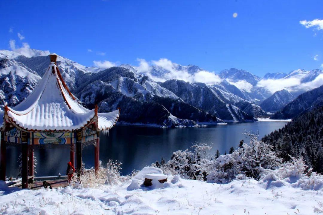 夏之许诺